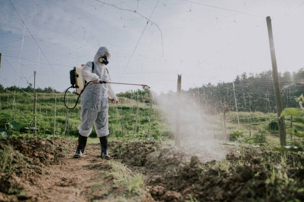 Best Pest Control for Businesses  in Slatington, PA