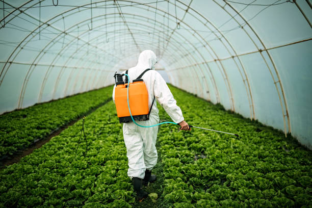 Best Best Pest Control Companies  in Slatington, PA