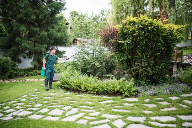 Best Best Pest Control Companies  in Slatington, PA