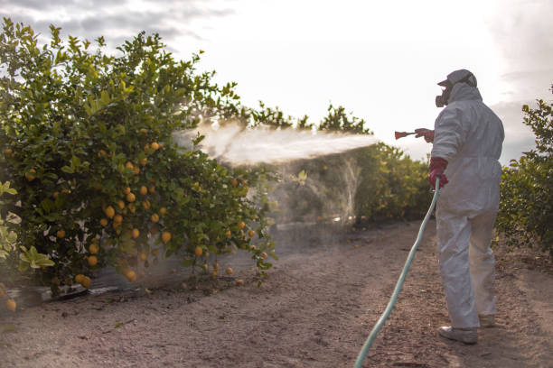 Trusted Slatington, PA Pest Control Experts