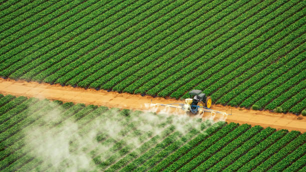 Best Pest Removal Services  in Slatington, PA