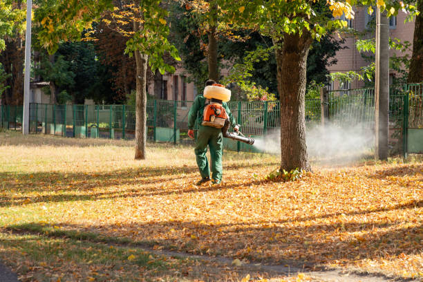 Best Commercial Pest Control Services  in Slatington, PA